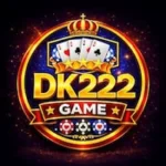 DK222 Game Logo