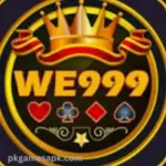 WE999 Game Logo