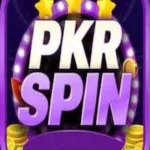 PKRSPIN Game Logo